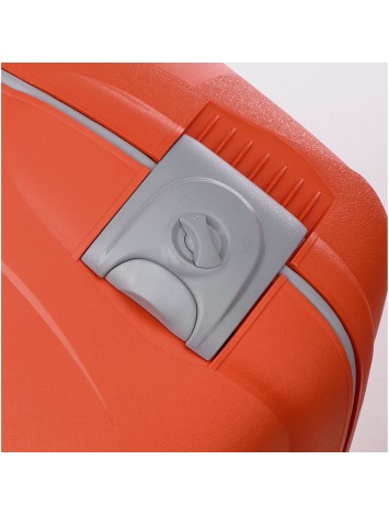 Roncato Light medium trolley 